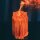 SHEER MAG - PLAYING FAVORITES - CD