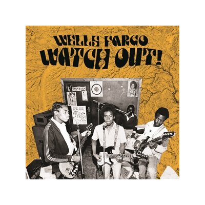 WELLS FARGO - WATCH OUT! - LP