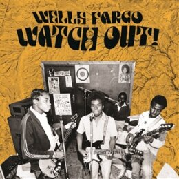 WELLS FARGO - WATCH OUT! - LP