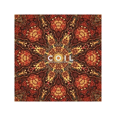 COIL - STOLEN & CONTAMINATED SONGS - CD