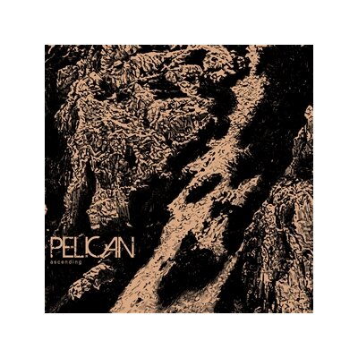 PELICAN - ASCENDING - 12"