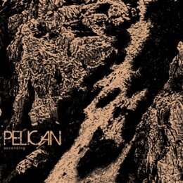 PELICAN - ASCENDING - 12"
