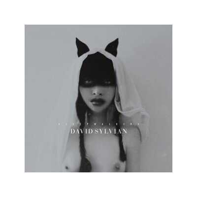 SYLVIAN, DAVID - SLEEPWALKERS (REMASTERED 180G 2LP+POSTER GF.) - LP