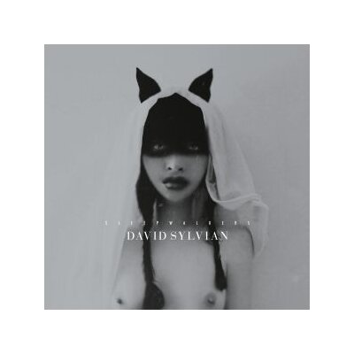 SYLVIAN, DAVID - SLEEPWALKERS (REMASTERED CD) - CD