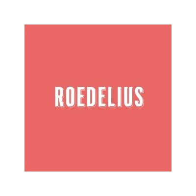 ROEDELIUS - DRAUF UND DRAN (WHITE LP+MP3) - LP