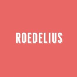 ROEDELIUS - DRAUF UND DRAN (WHITE LP+MP3) - LP