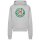 Stranger Things - MC1467 - Hawkins Tigers - Heavy Oversize Hoody - grey