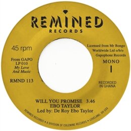 TAYLOR, EBO - WILL YOU PROMISE - 7"