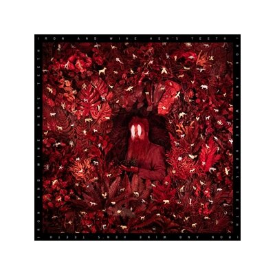 IRON AND WINE - HENS TEETH - CD