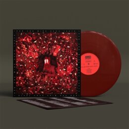 IRON AND WINE - HENS TEETH  (OXBLOOD VINYL) - LP