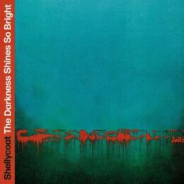 SHELLYCOAT - THE DARKNESS SHINES SO BRIGHT (GREEN...