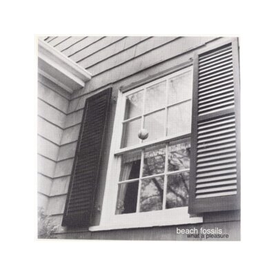 BEACH FOSSILS - WHAT A PLEASURE - LP