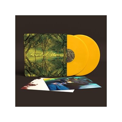 BAND OF HORSES - EVERYTHING ALL THE TIME -20TH ANNIVERSARY EDITION- - LP