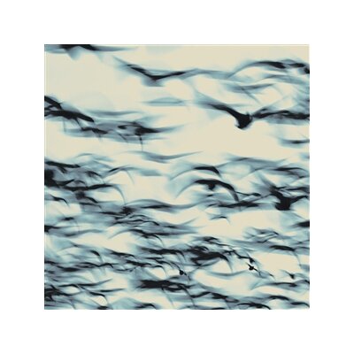 BELLBIRD - THE CALL - CD