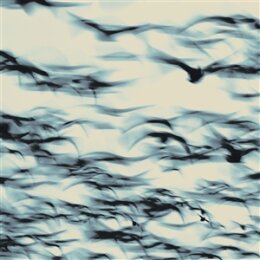 BELLBIRD - THE CALL - CD