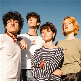 FRÄULEIN LUISE - VIELLEICHT NICHT FÜR IMMER - LP