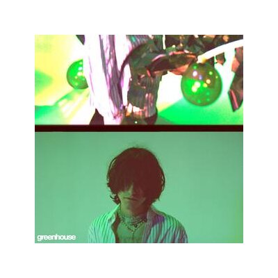 ALDN - GREENHOUSE (GREEN COLORED) - LP