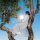 WILDER, EAVES - LITTLE MISS SUNSHINE - CD