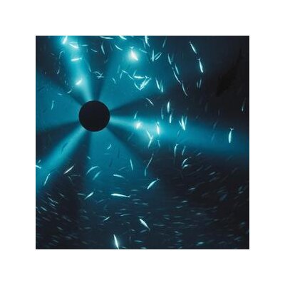 HALO, LAUREL/OST - MIDNIGHT ZONE - LP