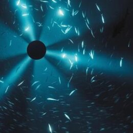 HALO, LAUREL/OST - MIDNIGHT ZONE - LP