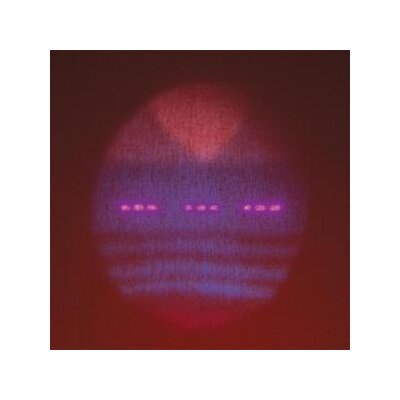 SETTING - SETTING - LTD. MAROON VINYL - LP