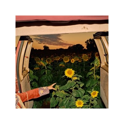 MORBY, KEVIN - LITTLE WIDE OPEN - CD