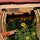 MORBY, KEVIN - LITTLE WIDE OPEN - CD
