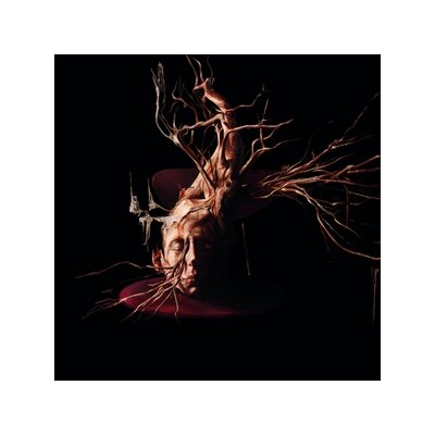 SWAN VALLEY HEIGHTS - TERMINAL FOREST - LP