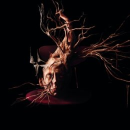 SWAN VALLEY HEIGHTS - TERMINAL FOREST - LP