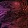 WIZZERD - SOLSTICE KRONIA SATURNALIA - CD