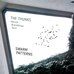 THUNKS, THE (HARNIK/BRANDLMAYR/KERN) - SWARM PATTERNS - CD