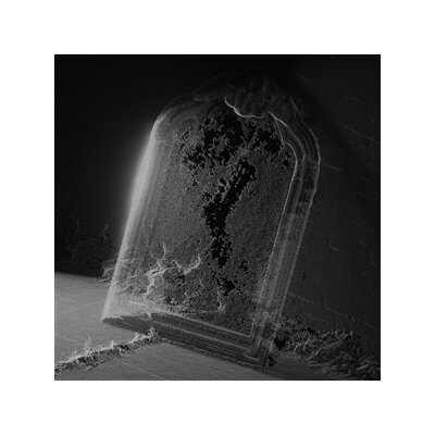 VISIBLE CLOAKS - PARADESSENCE - LP