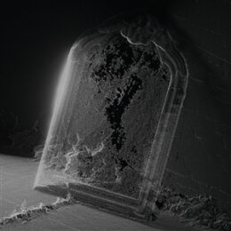 VISIBLE CLOAKS - PARADESSENCE - CD