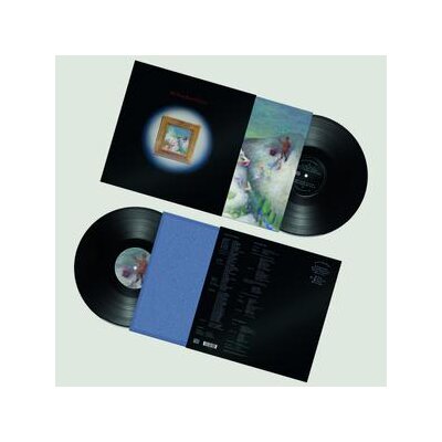 MY NEW BAND BELIEVE - MY NEW BAND BELEIVE - LP