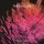 WEWANTSOUNDS PRESENTS / VARIOUS - TOKYO PULSE (JAPANESE FUNK, MODERN SOUL & CITY POP FROM - CD