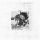 AMULETS - REM(A)INDERS - LP
