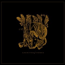 NORNA X LEGBITER - NORNA X LEGBITER (10" SPLIT EP) - EP