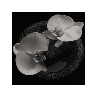 MIKE PATTON & JEAN-CLAUDE VANNIER - CORPSE FLOWER - LP