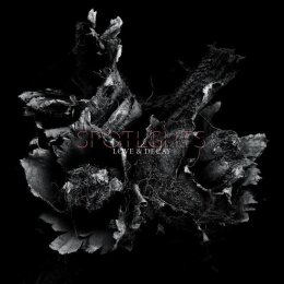 SPOTLIGHTS - LOVE & DECAY - LP