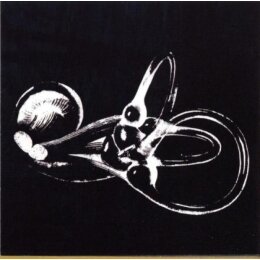 SKELETON KEY - OBTAINIUM - CD
