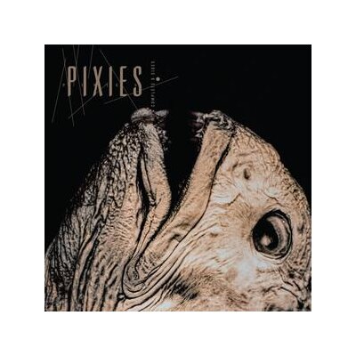 PIXIES - COMPLETE B-SIDES 1988-1997 (+6 BONUS TRACKS) - CD