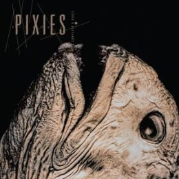 PIXIES - COMPLETE B-SIDES 1988-1997 (+6 BONUS TRACKS) - CD