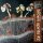 BROWN SPIRITS - BROWN SPIRITS #2 - CD