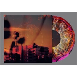 BISMUT - MATSUTAKE - LP