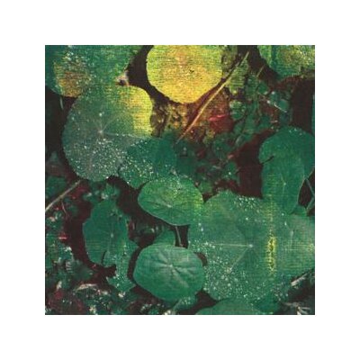 WHOMAN - ABOUT HONEY - LP