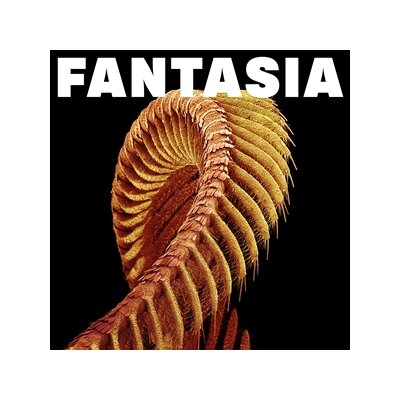 SLIFT - FANTASIA - CD