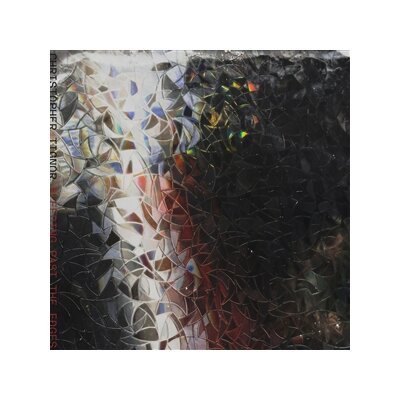 TIGNOR, CHRISTOPHER - BLEEDING PAST THE EDGES - LP