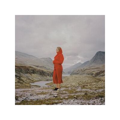 HABEL, JUNI - EVERGREEN IN YOUR MIND - LP