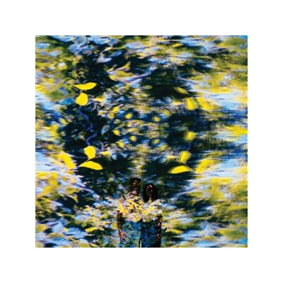 CHATON LAVEUR - LABYRINTHE - LP