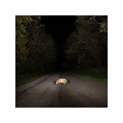 STONKS - BADGER - CD